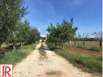 TERRENO AGRICOLO CON DEPOSITO - GINOSA